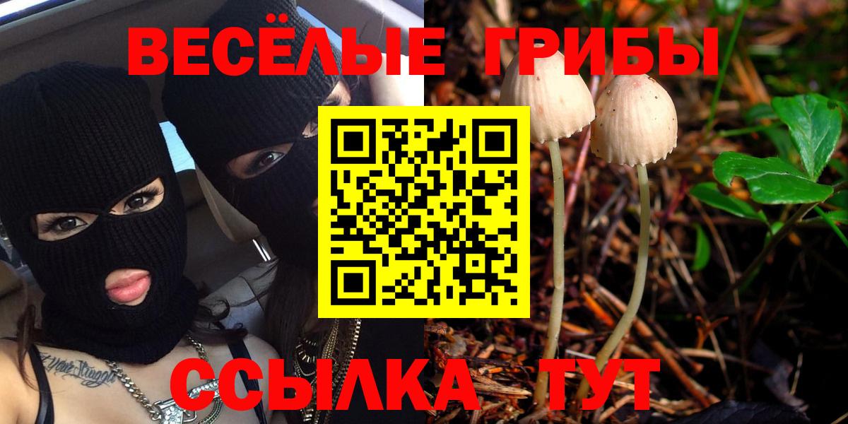 Псилоцибиновые грибы Magic Shrooms Ульяновск
