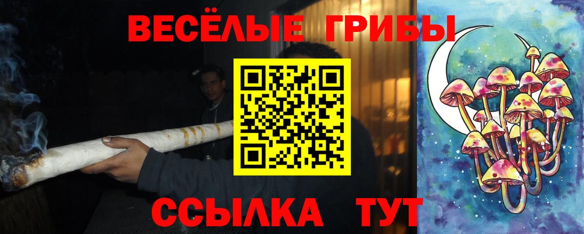 Ульяновск  Галлюциногенные грибы Psilocybe  Вход с VPN 