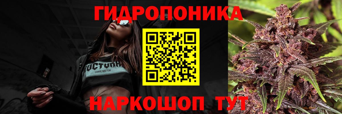 Ульяновск  МАРИХУАНА тримм  Шишки марихуана конопля  Вход с VPN  Канабис план 